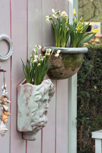 bulb afbeelding
