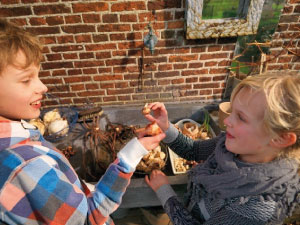bulb afbeelding