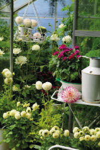 bulb afbeelding