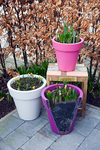 bulb afbeelding