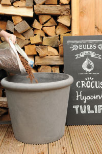 bulb afbeelding