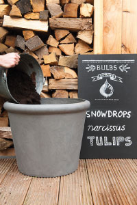 bulb afbeelding