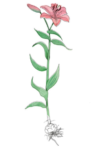 221989.jpg