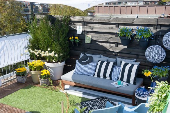 Balcony inspiration garden Balcony garden with pots of daffodils, tulips, fritillaries, white grapes with lounge bench on balcony. Inspiration for balcony with bulbs planted in autumn.