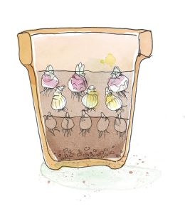 Layering flower bulbs is lasagne planting Lasagna planting is planting bulbs in layers, so you can enjoy flowering bulbs all spring long. Don't forget to plant these bulbs in autumn. See step 2 here.