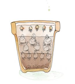 Lasagna planting is planting bulbs in layers, so you can enjoy flowering bulbs all spring long. Don't forget to plant these bulbs in autumn. See step 3 here.