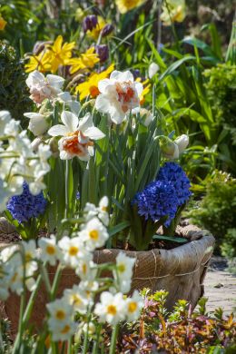 BC-Outdoor-024_aangepast.jpg