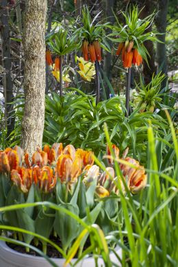 BC-Outdoor-061_aangepast.jpg