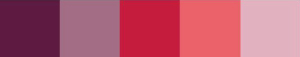 Pantone-kleuren-Equalise-aangepast.jpg